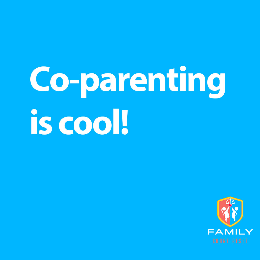 Coparenting is cool meme